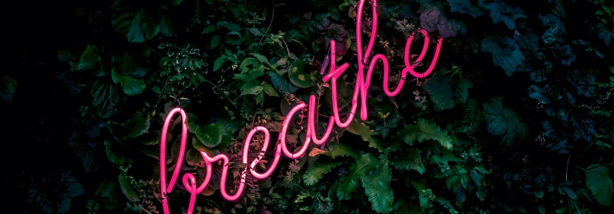 pink breathe neon sign