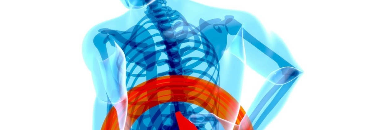 a skeleton with a red circle around it's stomach