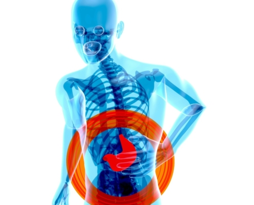 a skeleton with a red circle around it's stomach